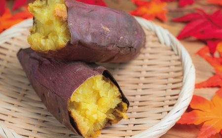 󂠂 ܂ VNXC[g 10kg