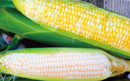 󂠂 Ƃ낱 v 10{  4 ` 5kg