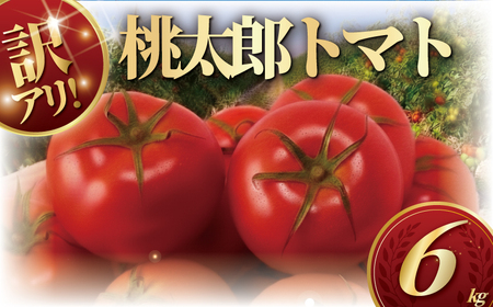 訳あり ハウス桃太郎トマト6kg トマト TOMATO 野菜
