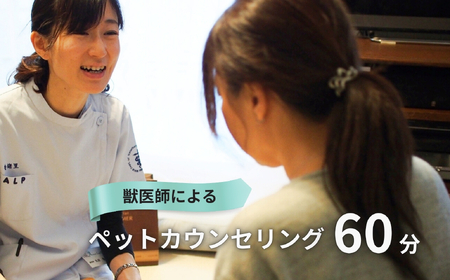 �y�b�g�J�E���Z�����O 60���\��