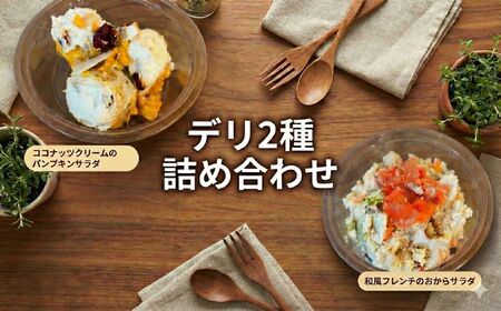デリ 2種 詰め合わせ サラダ フレンチサラダ パンプキン パンプキン フレンチ スモーク サーモン スモークサーモン 和風 砂糖不使用 新感覚 副菜 ココナッツクリーム おから 蓮根 国産 記念日 ギフト プレゼント おかず 1品 人気 セット 誕生日 FineFoods 神奈川 湘南 藤沢