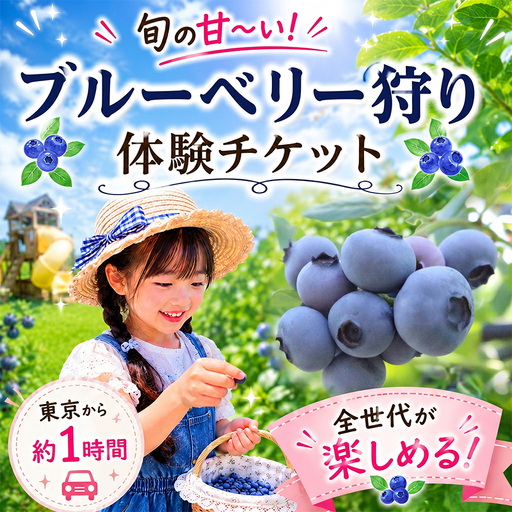 ブルーベリー狩り 体験チケット[体験]