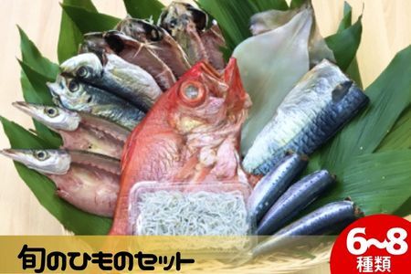 旬のひものセット6〜8種 伝統200年の味 鈴伝商店