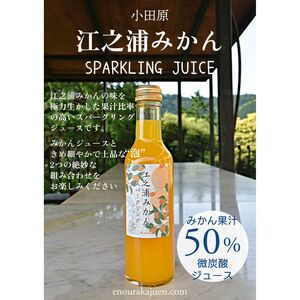 小田原産江之浦みかんスパークリング果汁入り飲料果汁50%200ml30本