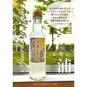 小田原産片浦レモンスパークリングジュース果汁10%200ml30本