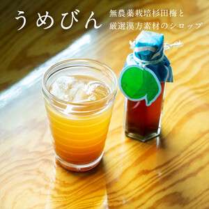 濃厚梅エキスと漢方のシロップ「うめびん(杉田梅) by Kampo Kitchen」[ 家庭用 自宅用 贈答品 贈答用 ギフト お取り寄せ お中元 お歳暮 贈り物 お祝い 神奈川県 小田原市 梅 梅 梅 梅 梅]