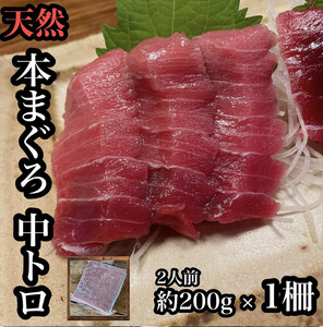 貴重な天然本鮪 中トロ 約200g 1柵 約2人前●くどくない上質な脂が美味しい![とろ マグロ 惣菜 海鮮 お取り寄せ 御中元 お中元 お歳暮 父の日 母の日 贈り物 日本酒 焼酎 マグロ ][神奈川県小田原市早川]