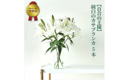 [百合の王様][未開花/長持ち]農林水産大臣賞を受賞したフローリストがアレンジする“純白のカサブランカ"[ 花 お花 神奈川県 小田原市 お花]