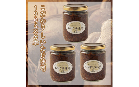 Zbg@XႨTCY@190×R{y ƒp p i p Mtg   Ε 蕨 j _ސ쌧 cs ő őz