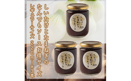 峯セット しいたけとたまねぎのなんでもソース≪レギュラーサイズ≫220ml×3本[ 家庭用 自宅用 贈答品 贈答用 ギフト お取り寄せ お中元 お歳暮 贈り物 お祝い 神奈川県 小田原市 しいたけ しいたけ しいたけ しいたけ しいたけ]