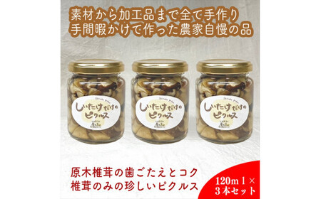 しいたけだけのピクルス 3個セット[ 家庭用 自宅用 贈答品 贈答用 ギフト お取り寄せ お中元 お歳暮 贈り物 お祝い 神奈川県 小田原市 ピクルス ピクルス ピクルス ピクルス ピクルス]