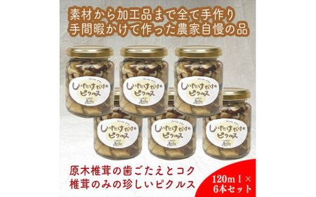 ̃sNX 6Zbgy ƒp p i p Mtg   Ε 蕨 j _ސ쌧 cs sNX sNXz