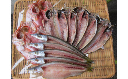 小田原ひもの詰合せ s45[惣菜 魚 干物 ひもの お取り寄せ 御中元 お中元 お歳暮 父の日 母の日 贈り物 家庭用 自宅用 贈答品 贈答 ギフト 定番 朝食 朝ごはん 国産 中あじ、中かます、金目鯛 神奈川県 小田原市 ]