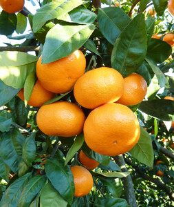 퉀̓ynun݂v@10kgqo׎:2025N121o׊Jn`2026N220o׏Iry ݂ _ސ쌧 cs z