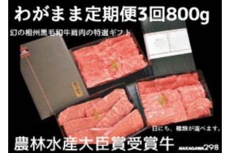 わがまま定期便　 幻の相州黒毛和牛肩肉 800g 年に3回お届け！