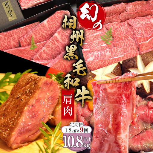 【牛肉 定期便 9回】 幻の相州黒毛和牛肩肉 1.2kg×9回 計10.8kg【相州黒毛和牛 相州牛 幻の牛肉 極上の旨味と風味 キメ細かな上質の脂 様々な料理に ブランド牛 ブランド牛肉 神奈川特産品 神奈川県 小田原市 】