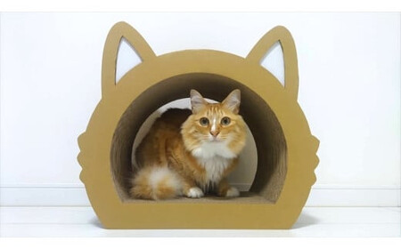 ねこの爪とぎ みみCT カラー;クラフト[ ペット用品 爪とぎ 神奈川県 小田原市 ペット ペット ペット ペット ペット]