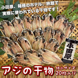 鯵の干物 特小サイズ 20枚セット[アジ アジ アジ アジ アジ]