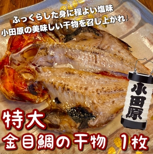 超特大金目鯛の干物 1枚 [ まぐろや 神奈川県 小田原市 ]