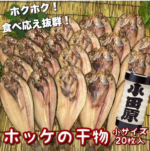 真ほっけの干物 小サイズ 20枚セット【ほっけ ほっけ ほっけ ほっけ ほっけ】