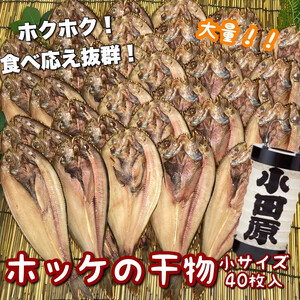 真ほっけの干物 小サイズ 40枚セット【ほっけ ほっけ ほっけ ほっけ ほっけ】