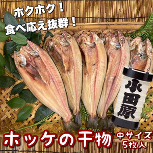 真ほっけの干物 中サイズ 5枚セット【ほっけ ほっけ ほっけ ほっけ ほっけ】