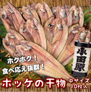 真ほっけの干物 中サイズ 10枚セット【ほっけ ほっけ ほっけ ほっけ ほっけ】