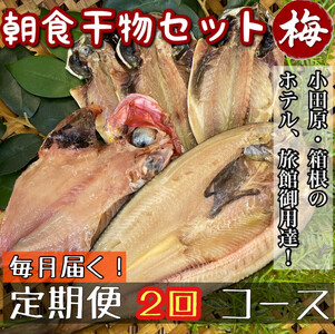[毎月定期便2回]小田原、箱根の旅館、ホテル御用達!朝食干物セット 梅[ まぐろや 神奈川県小田原市 ひもの ひもの ひもの ひもの ひもの]