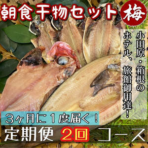 [3ヶ月に1回配送 定期便2回]小田原、箱根の旅館、ホテル御用達!朝食干物セット 梅[ まぐろや 神奈川県小田原市 ひもの ひもの ひもの ひもの ひもの]