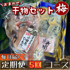 [毎月定期便5回]厳選!小田原の旬の干物セット 梅[ まぐろや 神奈川県小田原市干物 干物 干物 干物 干物 ]