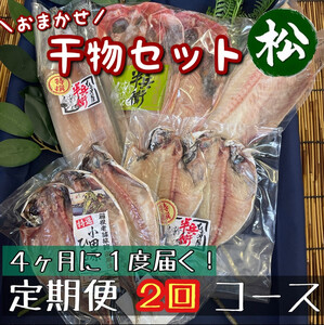 [4ヶ月に1回定期便2回]厳選!小田原の旬の干物セット 松[ まぐろや 神奈川県小田原市 ひもの ひもの ひもの ひもの ひもの]