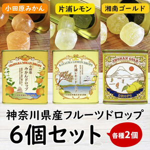 [小田原のフルーツ果汁を使ったドロップ3種類×2個セット]口に入れるとフルーツの香りが広がるドロップ。[ ドロップ 神奈川県 小田原市 ドロップ]