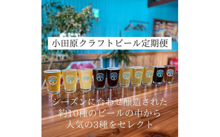 季節限定 小田原クラフトビール3種 [定期便:3カ月に1回 計4回お届け] クラフトビール・地ビール[ ビール お酒 神奈川県 小田原市 ]