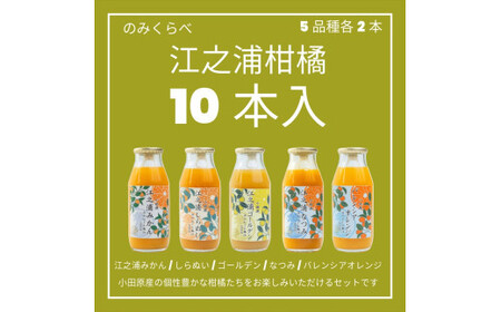 小田原産江之浦みかんジュース5種のみくらべ10本セット うんしゅう・しらぬい・ゴールデン・なつみ・バレンシアオレンジ100%ストレートジュース180ml各2本合計10本[みかんジュース みかんジュース 神奈川県 小田原市 ]
