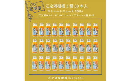 [定期便 3回] 小田原産江之浦みかんジュース3種のみくらべ30本セット うんしゅう・なつみ・バレンシアオレンジ100%ストレートジュース180ml各10本合計30本