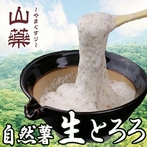 自然薯の味をお楽しみください。自然薯生とろろ100g×10pセット[とろろ 極上とろろ 山芋 お家用 家庭用 国産 セット商品 自然薯 神奈川県 小田原市 ]