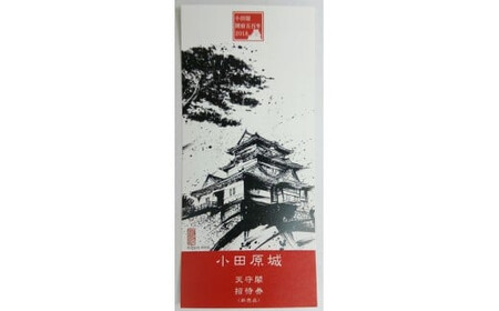 風魔忍者Tシャツ・小田原城天守閣招待券ペアセット Lサイズ 2枚[忍者 風魔 Tシャツ小田原城 天守閣 ペア招待券 風魔一党 小田原北条氏 戦国時代 戦国時代ファン 小田原限定 忍 限定Tシャツ 忍者モチーフTシャツ 神奈川県 小田原市 ]