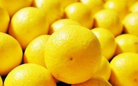 q󏭏ir_ސ쐶܂̊k nEX͔|̏ÓS[ho׊JnFQOQUNQPTo׊Jn`QOQUNRPOo׏Iyt[c IW ʕ k p ƒp