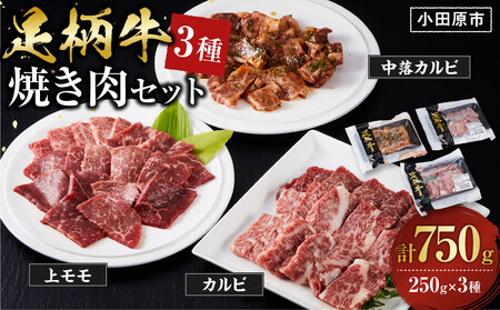足柄牛3種焼肉セット(カルビ 上モモ 中落カルビ各250g)[ 肉 国産 神奈川県 小田原市 ]