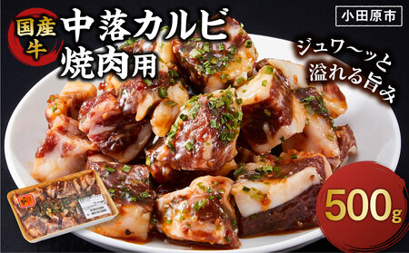 国産牛中落カルビ焼肉用500g[ 肉 国産 神奈川県 小田原市 ]