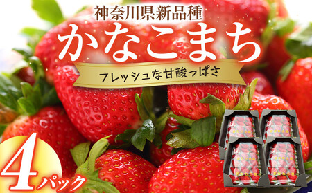 神奈川県新品種「かなこまち」 完熟イチゴ 苺 4パック入り