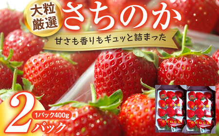 大粒厳選さちのか 希少いちご 神奈川県産 苺 2パック入り