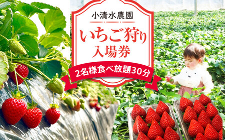 いちご狩り 入場券 2名様 食べ放題30分