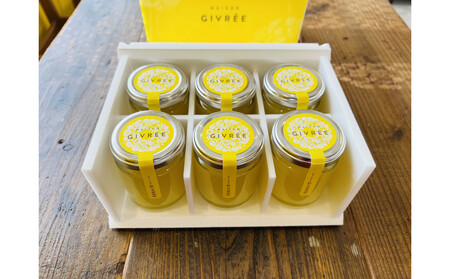 湘南ゴールドゼリー6個セット