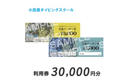 小田原ダイビングスクール共通クーポン券 30,000円分