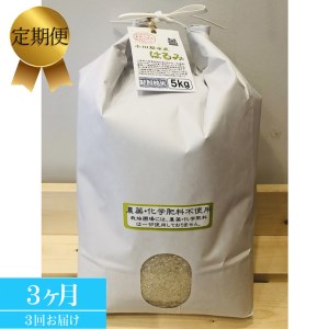 [定期便 3ヶ月] 志村屋米穀店 令和5年産新米小田原市産 農薬・化学肥料不使用はるみ 新米 5kg[出荷時期:10月中旬より順次出荷開始]