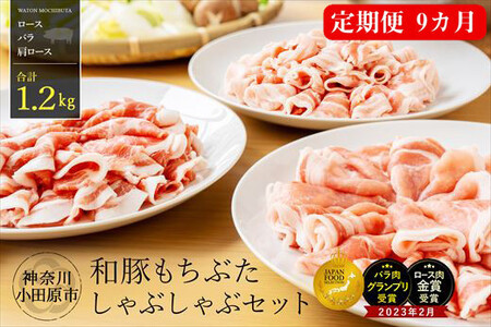 [定期便9ヵ月] 和豚 もちぶた しゃぶしゃぶ セット 合計1.2kg(ロース・バラ・肩ロース)[ポーク 豚バラ 豚ロース 豚しゃぶ しゃぶしゃぶ肉 豚肉 贈答品 贈答用 ギフト お取り寄せ 御中元 お中元 お歳暮 贈り物 神奈川県 小田原市 ポーク]