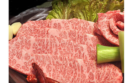 幻の相州黒毛和牛 焼肉用500g×2パック 計1kg (霜降り500g赤身500g)[相州黒毛和牛 相州牛 幻の牛肉 極上の旨味と風味 キメ細かな上質の脂 様々な料理に ブランド牛 ブランド牛肉 神奈川県 小田原市 ]