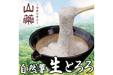 自然薯の味をお楽しみください。自然薯生とろろ100g×5pセット