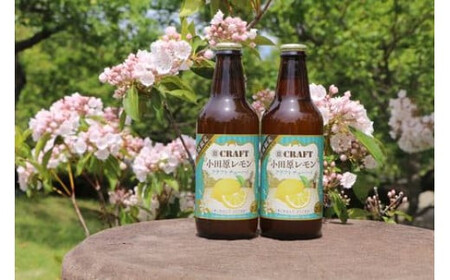 小田原レモンクラフトチューハイ　24本セット【チューハイ】